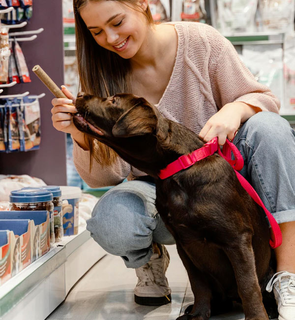 pet shop + clínica veterinária fauna